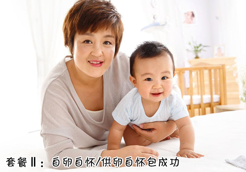 B方案：自怀包成功方案