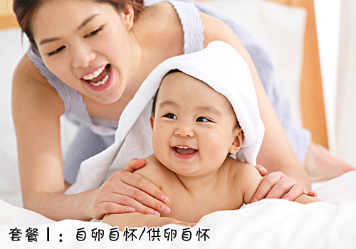 A方案：自怀方案