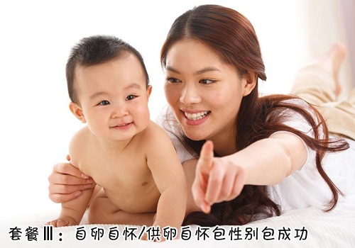 C方案：自怀包性别包成功方案