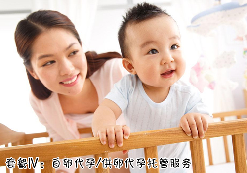 D方案：助孕托管服务方案
