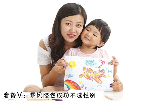 E方案：零风险包成功方案（不选性别）