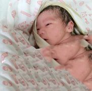恭喜杭州柏先生喜得一子