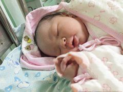 恭喜贺先生喜得一女